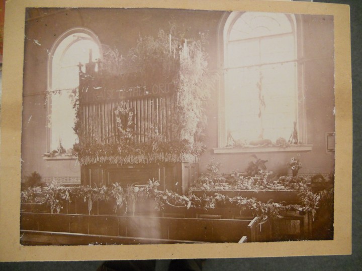 Organ Harvest Festival