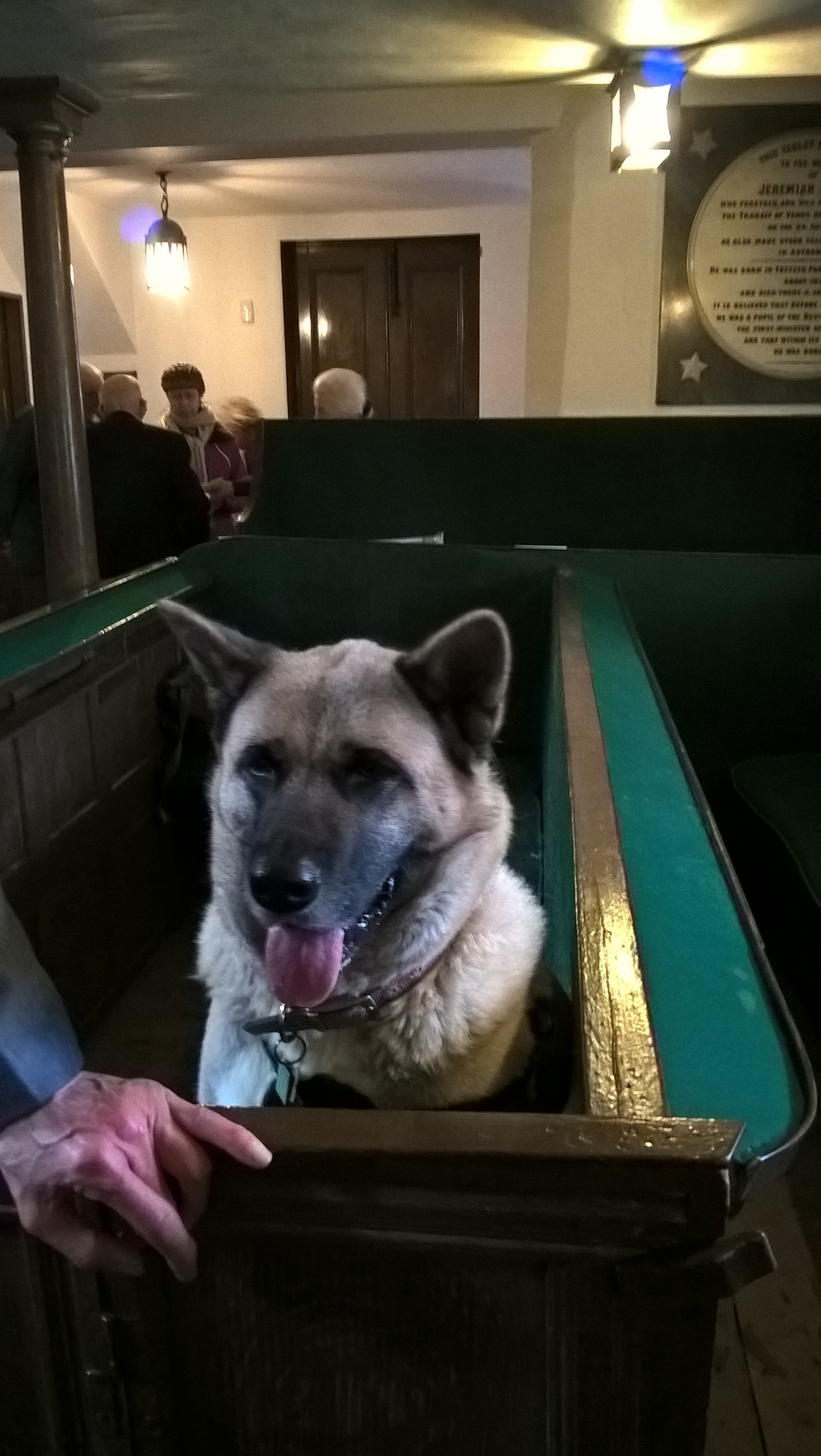 ACT March 2017 Fifi 01 Sue