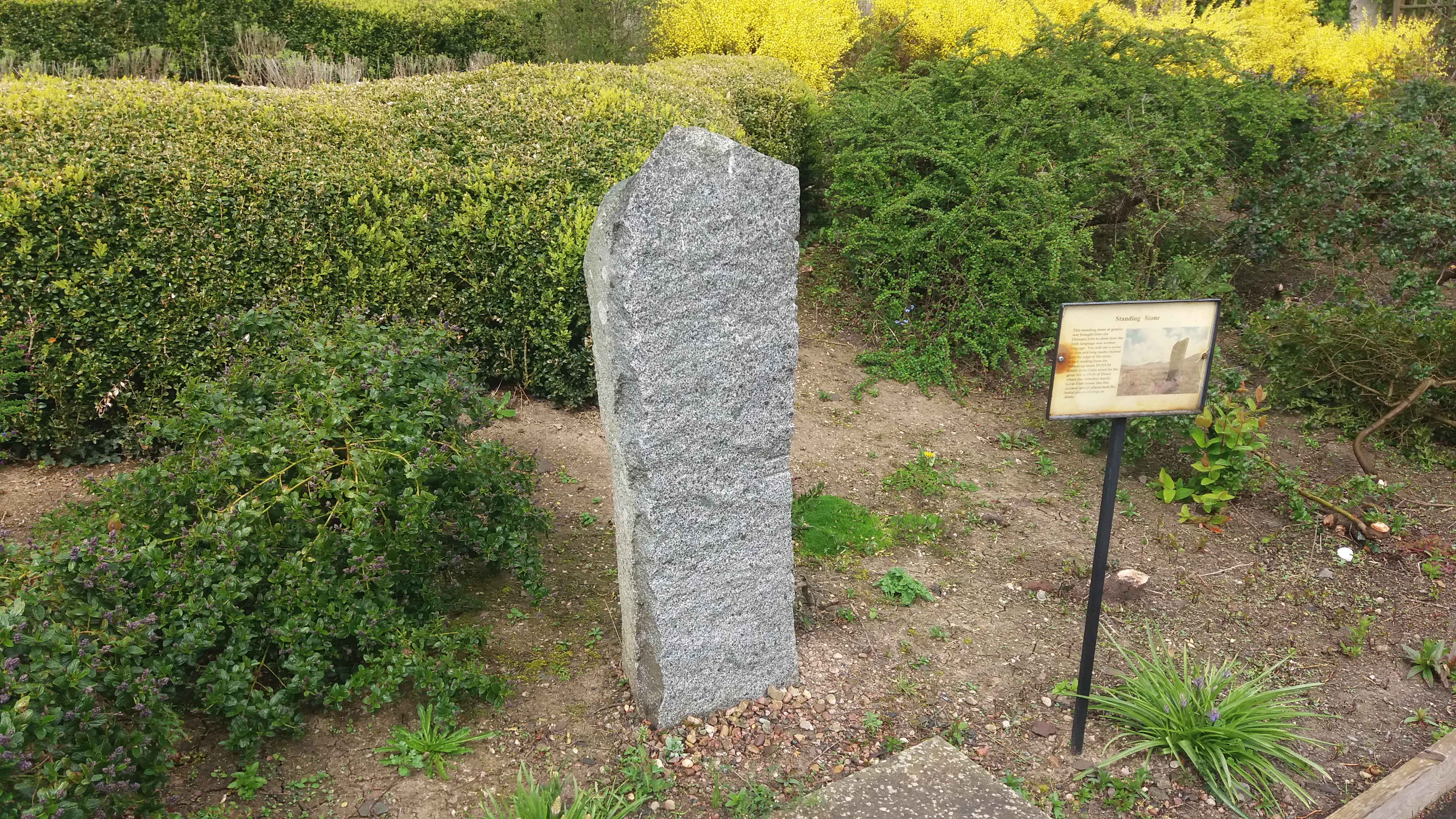 St Patrick's Centre 03