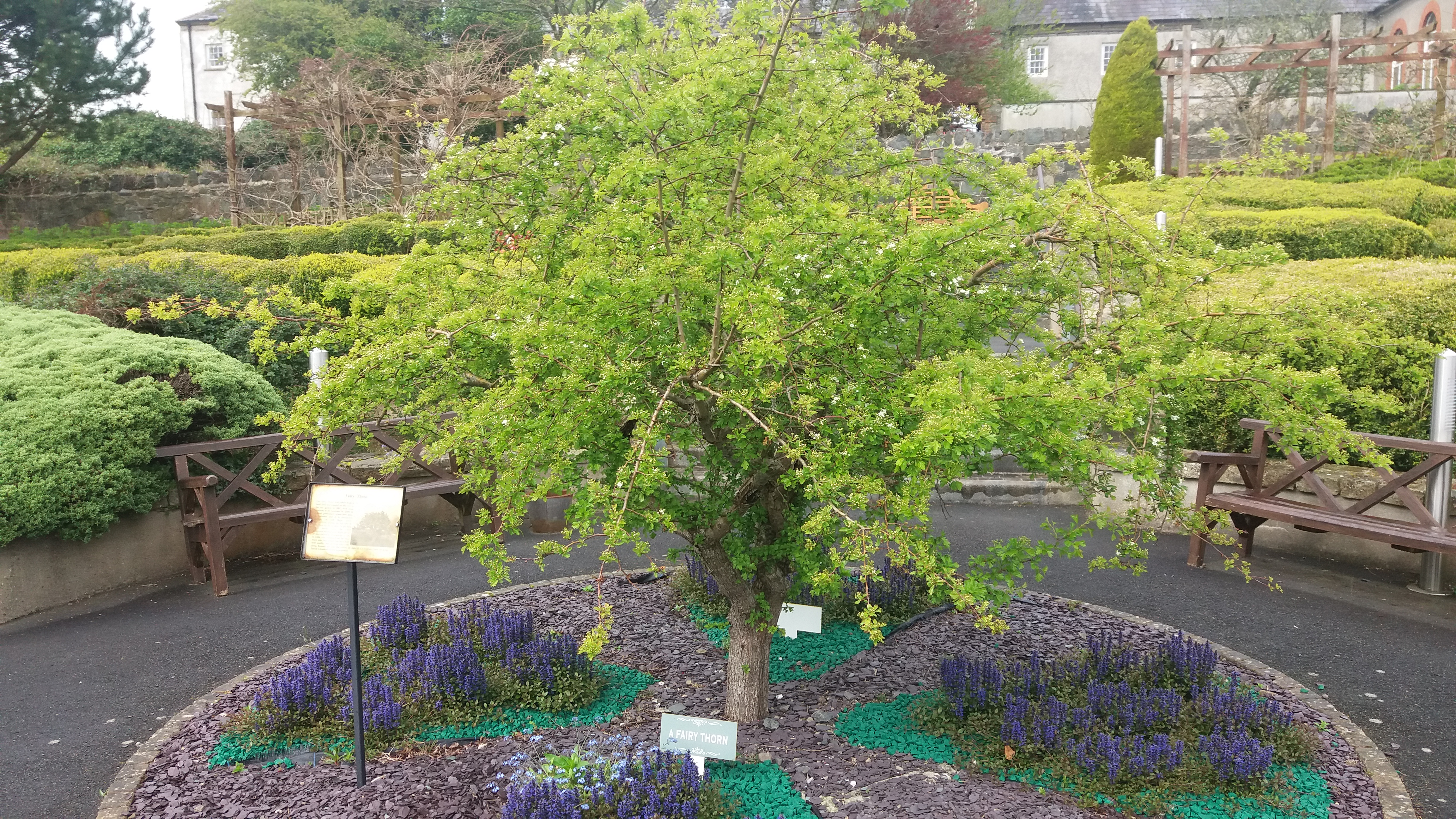 St Patrick's Centre 06