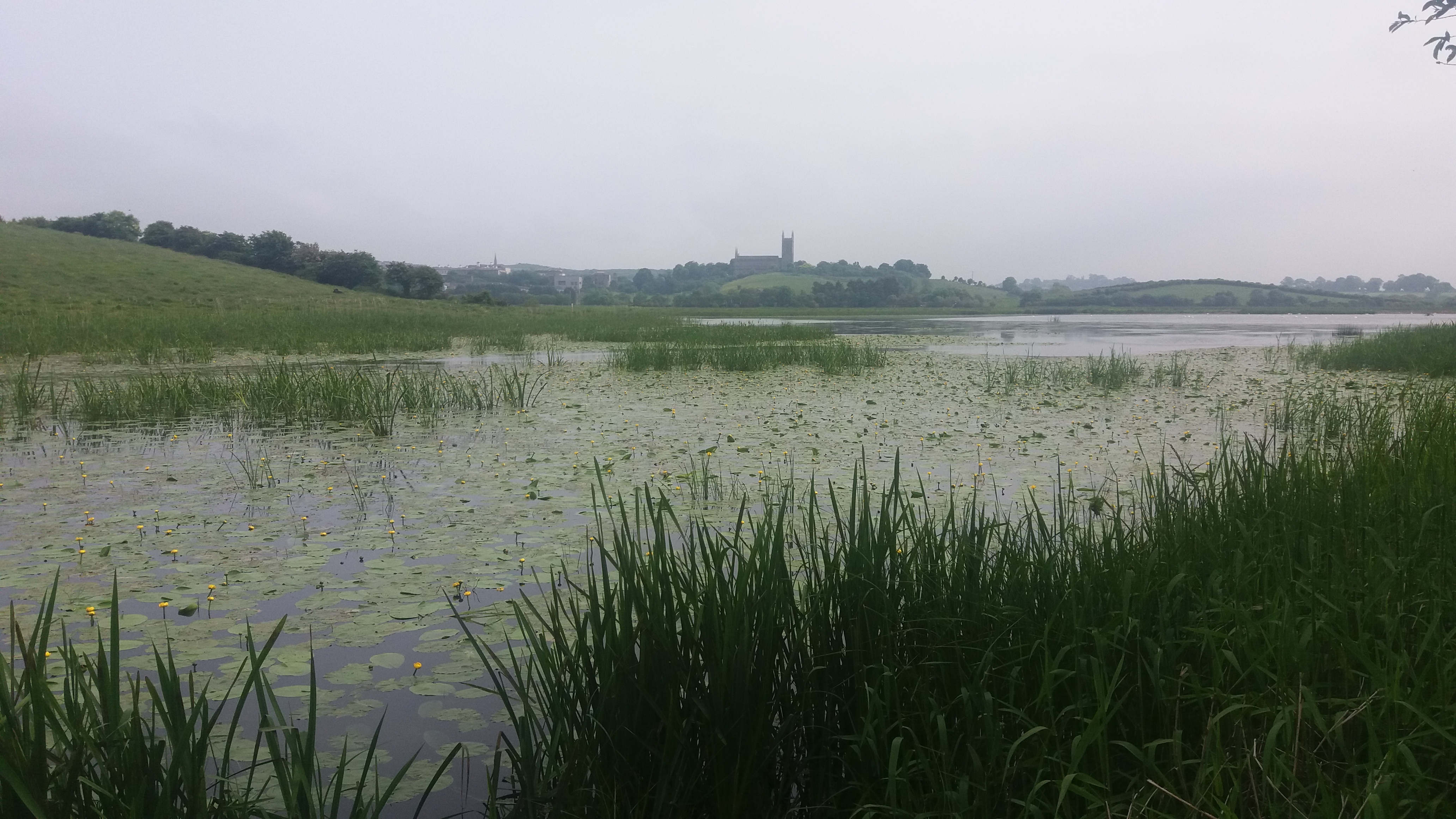 IA view to Cathedral