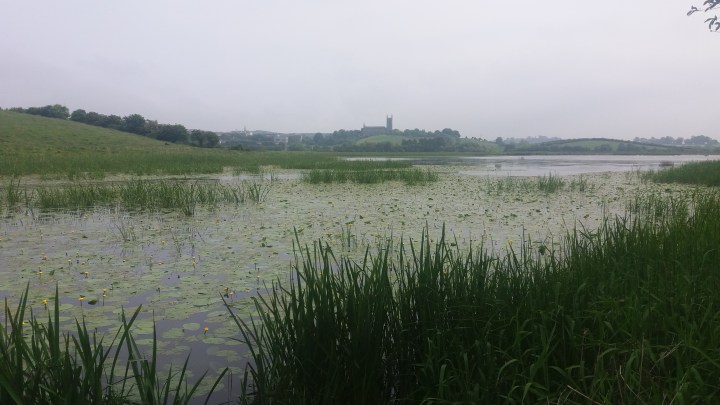 IA view to Cathedral