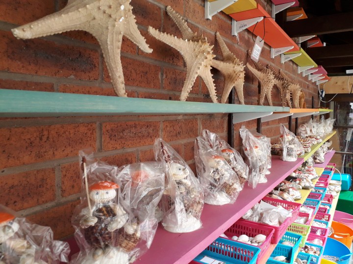 Southport shell shelves