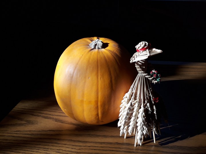 Clough Harvest corn dolly