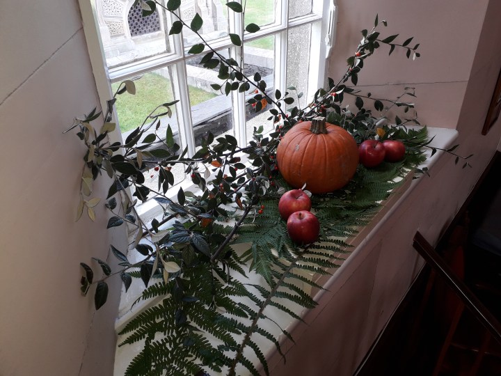 Clough Harvest pumpkin