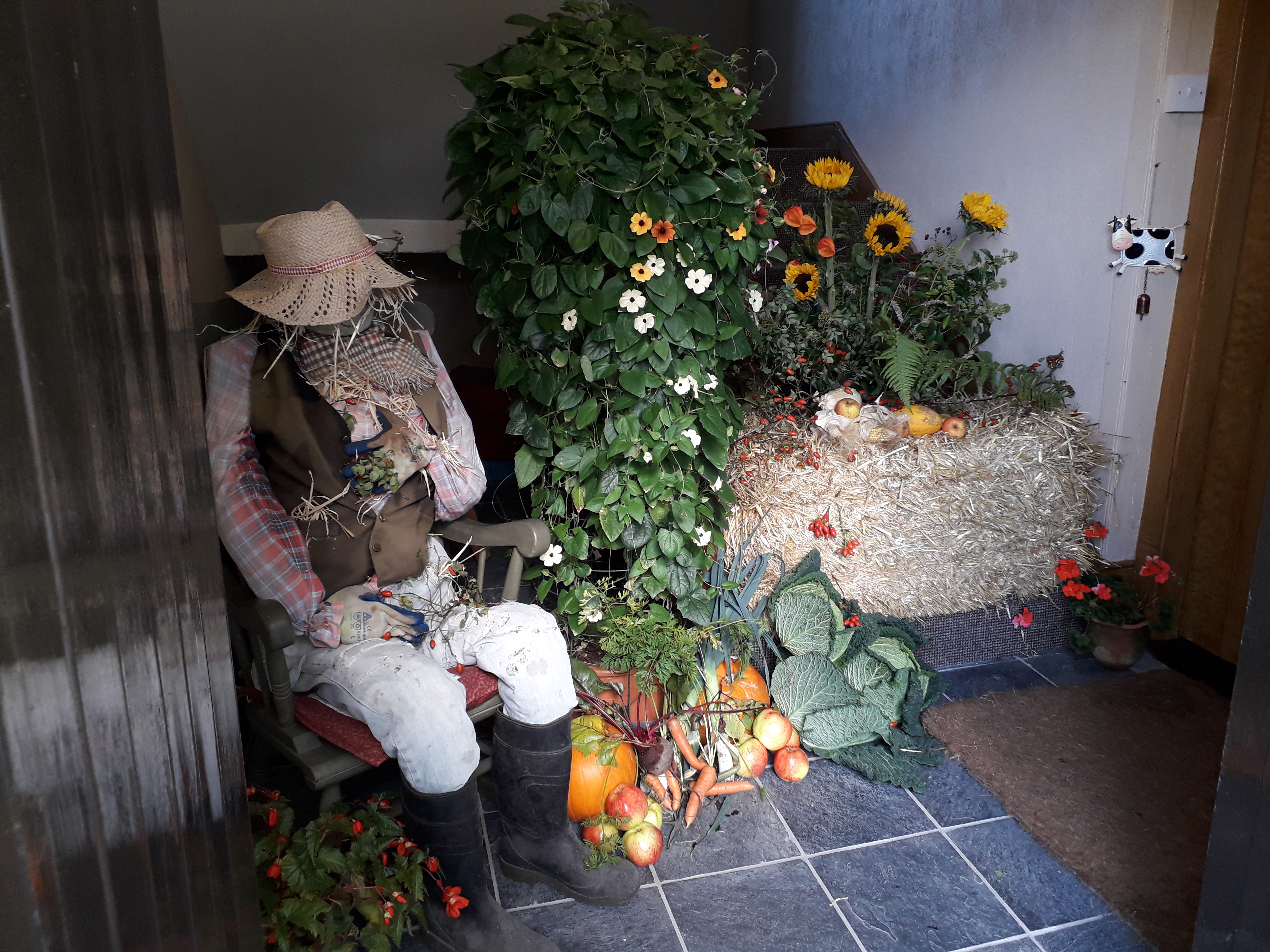 Dpk Harvest entrance