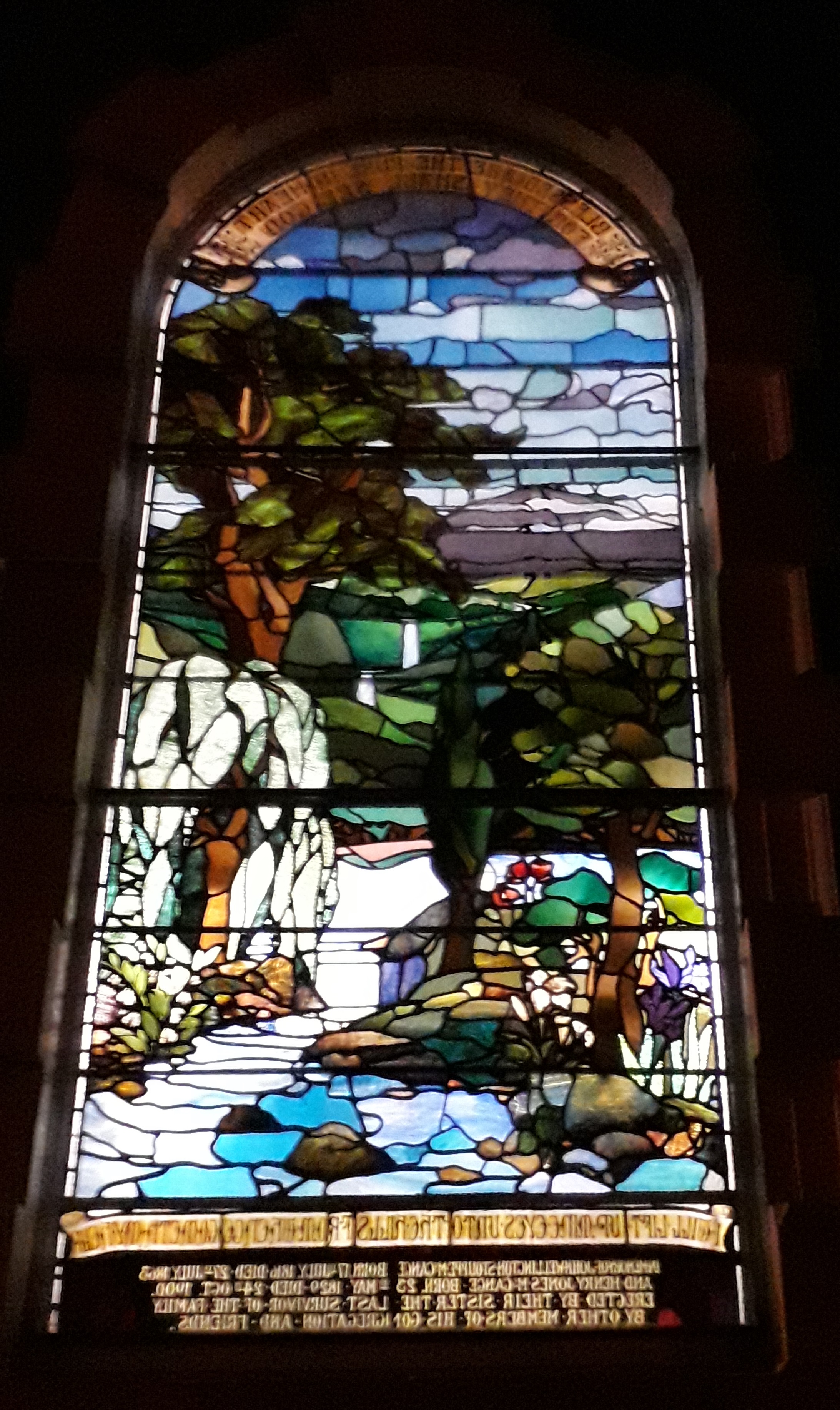 Dunmurry window crop