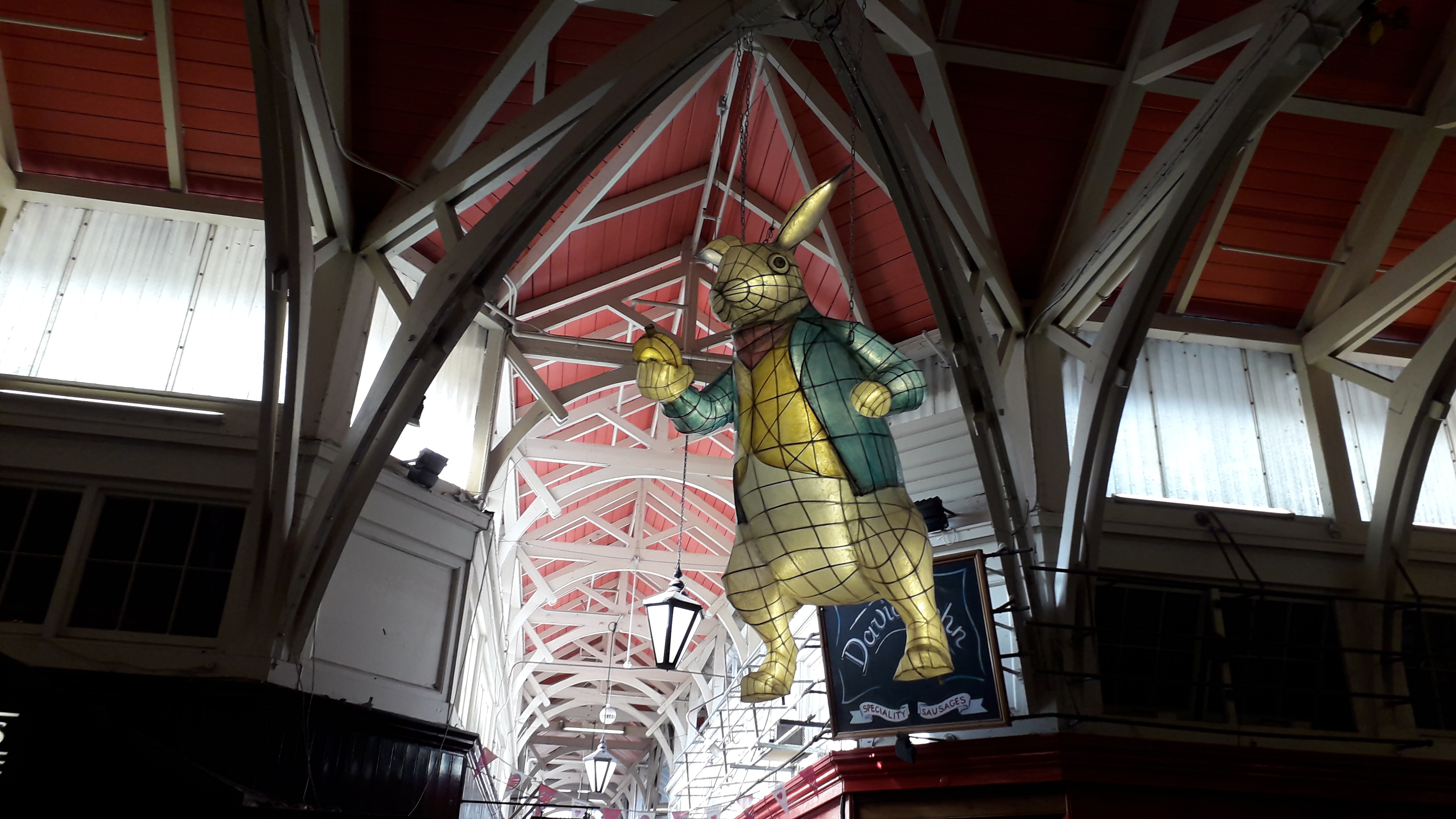 Oxon White Rabbit 02