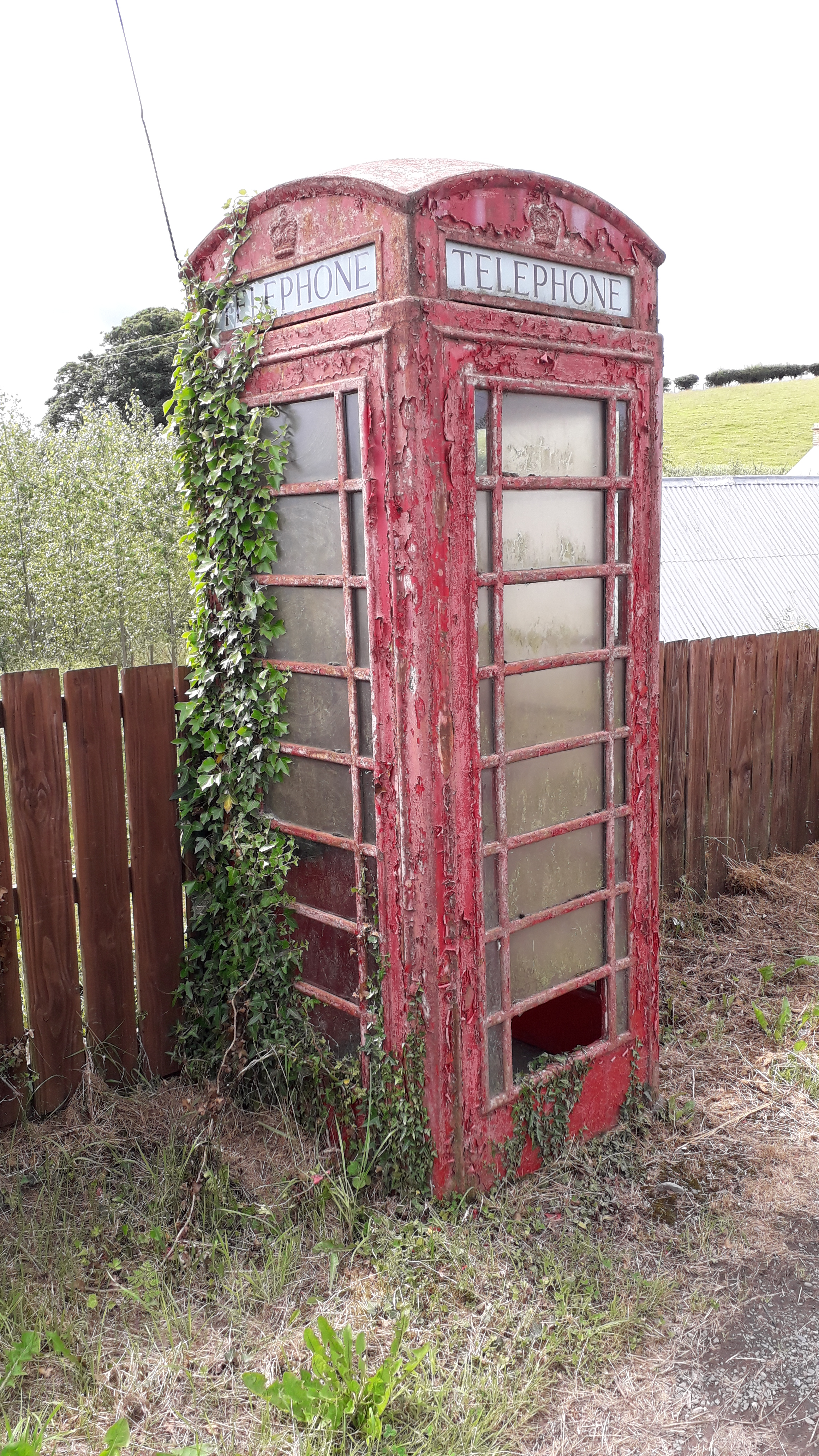 PB Woodgrange ivy view 02