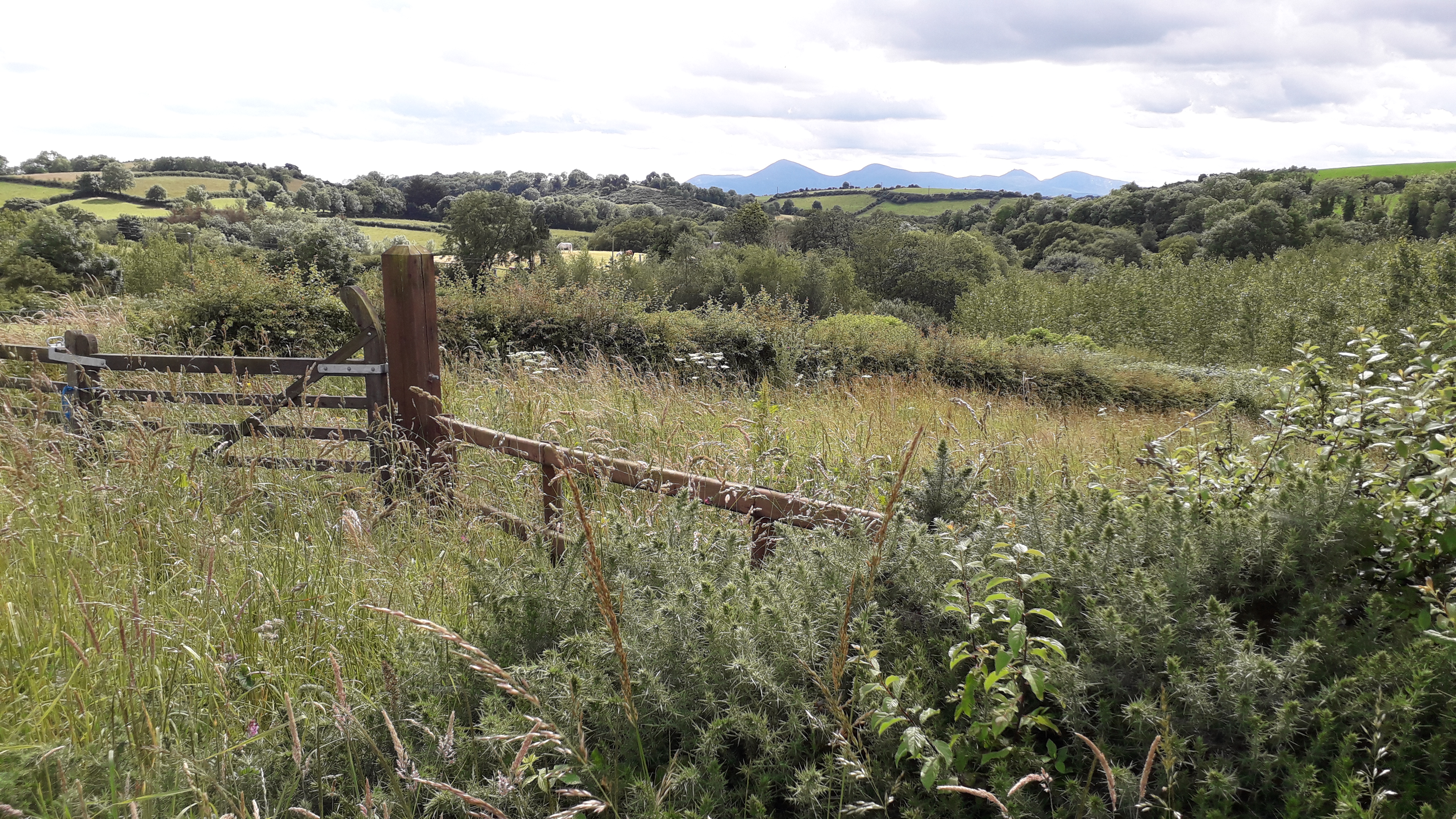 PB Woodgrange view 01