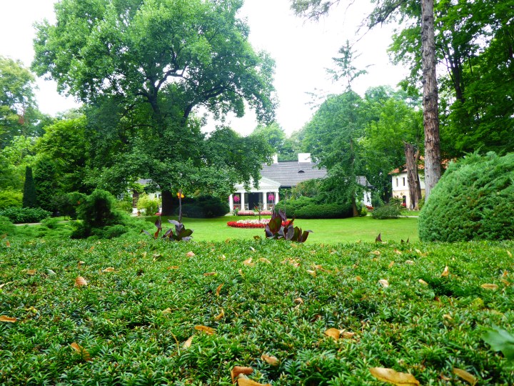 Socinus Grave Estate 01