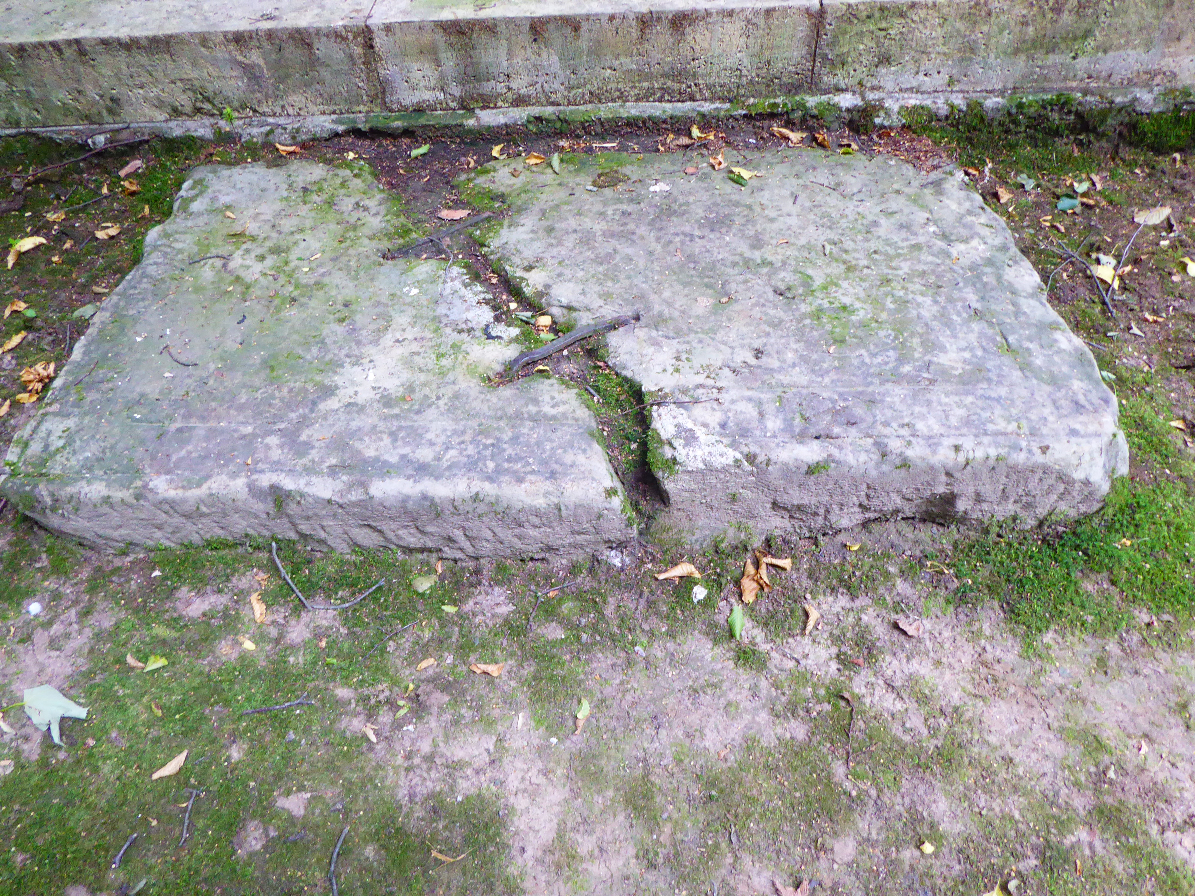 Socinus Grave Front stone