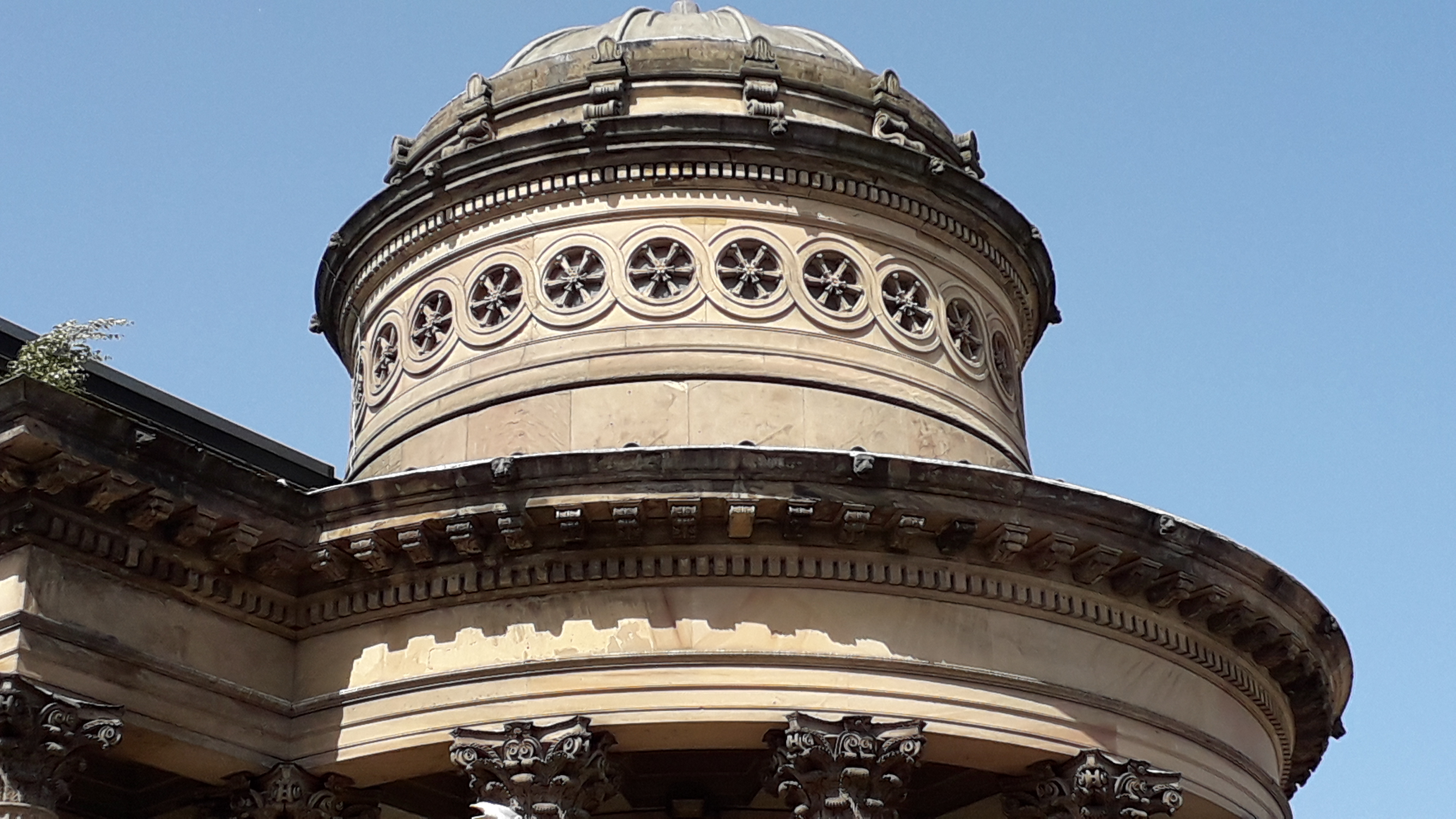 GGC dome detail