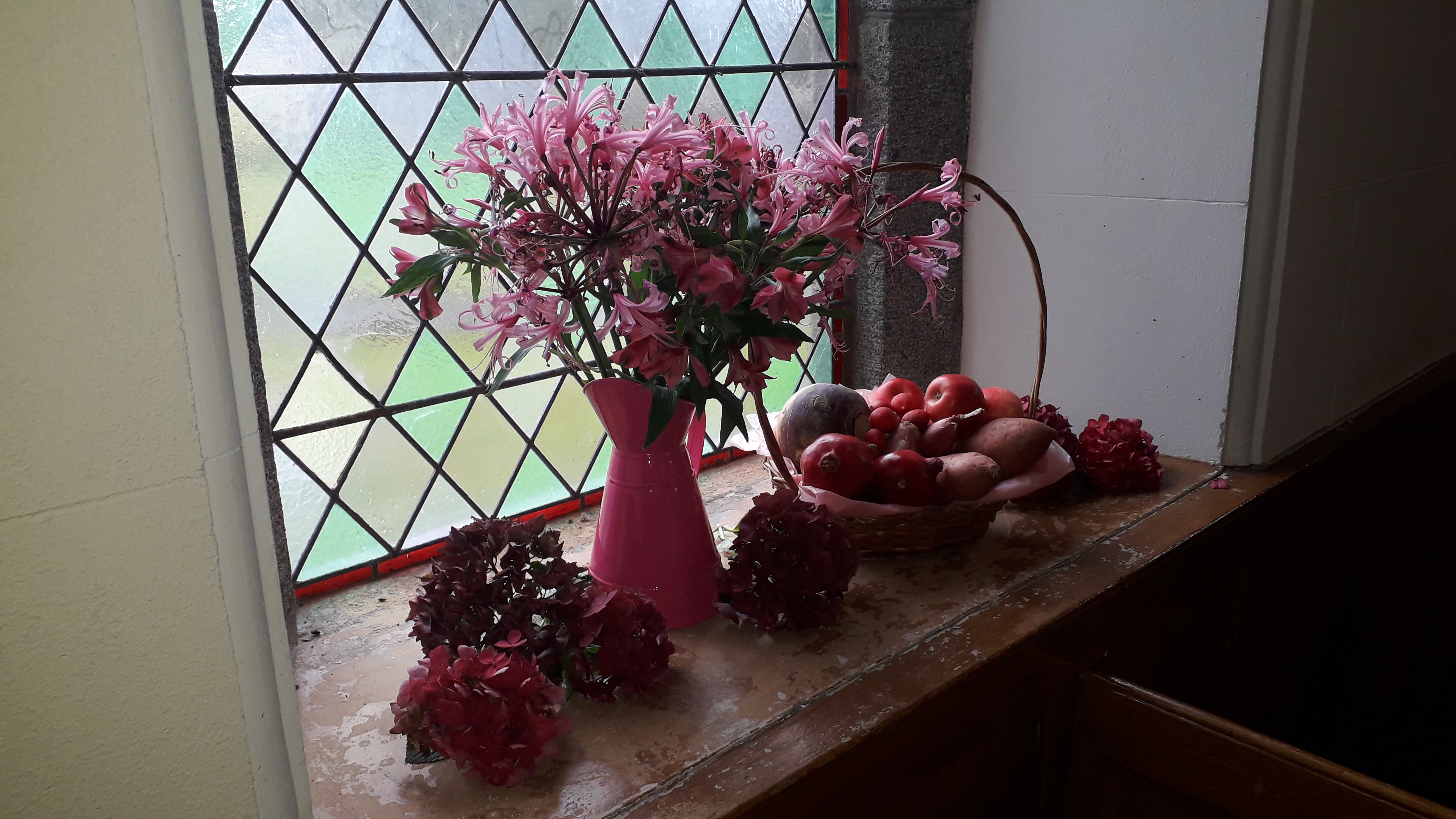 Ballee Harvest 2019 window pink