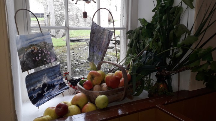 Harvest service Dpk 2019 Window 04