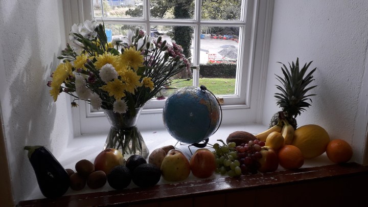 Harvest service Dpk 2019 Window 06