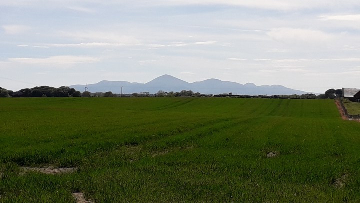 Mountains of Mourne from near Ballee
